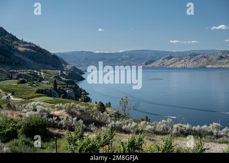 View on lake and vineyard in Summerland in Canada on a sunny day Stock Photo