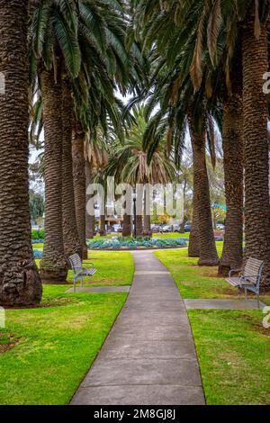 Walking path through the Edwards Park in Port Melbourne, Australia Stock Photo