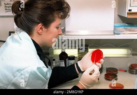 Hospital Corpsman Third Class (HM3) Johnny Harvey obtains a blood ...