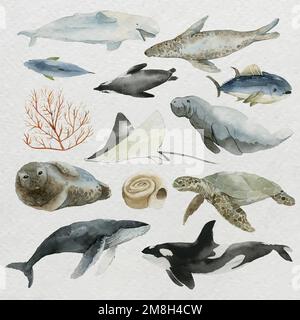 Animals from the sea in watercolor set vector Stock Vector