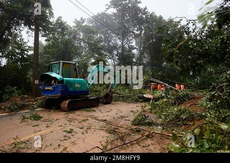 Thailand, Chiangmai, November 02 2022, a blockage on a mountain road. An excavator cleans up fallen trees after a hurricane. The rescue team is at Stock Photo