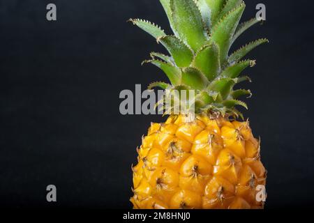 Ripe mini baby pineapple over dark background. Stock Photo
