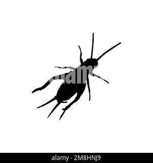Cricket insect icon. Simple style insect science poster background ...