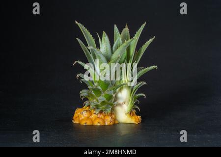 Ripe mini baby pineapple over dark background. Stock Photo