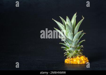 Ripe mini baby pineapple over dark background. Stock Photo
