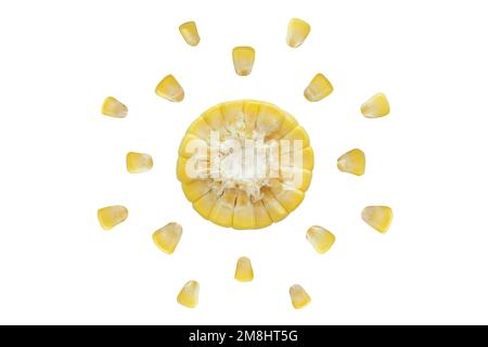 Cross section corn and grains on isolated white background Stock Photo