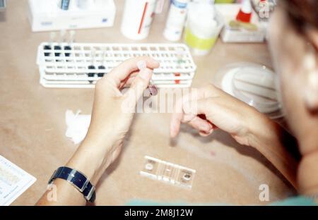 2nd LT. Gun Savhammar, 46th Combat Support Hospital, performs lab work ...