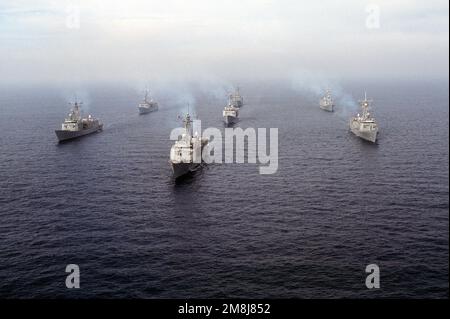 Destroyer Squadron One (DesRonOne) steaming in formation off the coast of San Clemente Island. The formation consists of seven FFG class ships of the Naval Reserve Force. From left to right, rear to front; left row (rear) USS SIDES (FFG-14), (front) USS MAHLON S. TISDALE (FFG-27), middle row (rear) USS DUNCAN (FFG-10) (center) USS COPELAND (FFG-25) (lead ship) USS LEWIS B. PULLER (FFG-23), right row (rear) USS GEORGE PHILIP (FFG-12) and (front) USS WADSWORTH (FFG-9). Country: Pacific Ocean (POC) Stock Photo