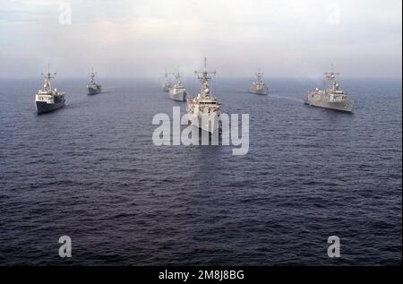 Destroyer Squadron One (DesRonOne) steaming in formation off the coast of San Clemente Island. The formation consists of seven FFG class ships of the Naval Reserve Force. From left to right, rear to front; left row (rear) USS SIDES (FFG-14), (front) USS MAHLON S. TISDALE (FFG-27), middle row (rear) USS DUNCAN (FFG-10) (center) USS COPELAND (FFG-25) (lead ship) USS LEWIS B. PULLER (FFG-23), right row (rear) USS GEORGE PHILIP (FFG-12) and (front) USS WADSWORTH (FFG-9). Country: Pacific Ocean (POC) Stock Photo