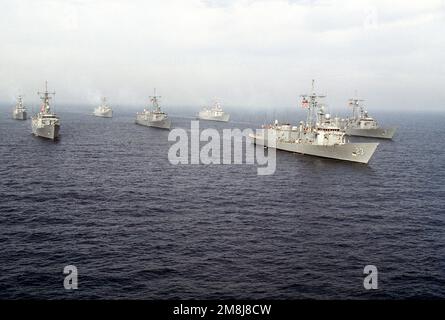 Destroyer Squadron One (DesRonOne) steaming in formation off the coast of San Clemente Island. The formation consists of seven FFG class ships of the Naval Reserve Force. From left to right, rear to front; left row (rear) USS SIDES (FFG-14), (front) USS MAHLON S. RISDALE (FFG-27), middle row (rear) USS DUNCAN (FFG-10) (center) USS COPELAND (FFG-25) (lead ship) USS LEWIS B. PULLER (FFG-23), right row (rear) USS GEORGE PHILIP (FFG-12) and (front) USS WADSWORTH (FFG-9). Country: Pacific Ocean (POC) Stock Photo