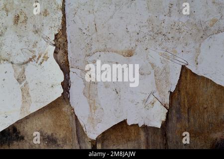 the wooden planks were broken and dirty and the paint was chipped for background Stock Photo