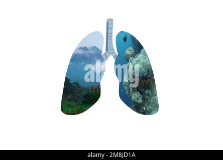 mount shaped and sea in human lungs. Conceptual image. International Clean Air Day concept. World Cleanup Day concept Stock Photo