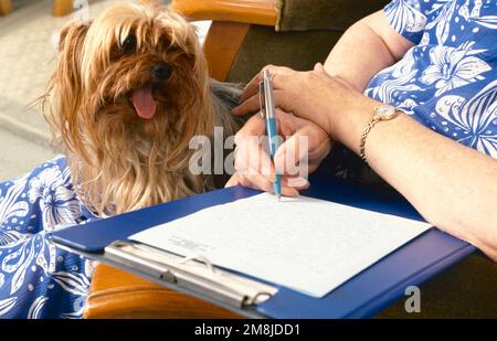 Elderly person writing a letter watched by her pet dog UK Stock Photo