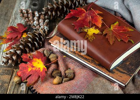 Brown leather journal with a book, acorns, pine cones, and autumn leaves on a blanket Stock Photo