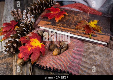 Book, acorns, pine cones, and autumn maple leaves on a soft blanket Stock Photo