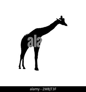 Giraffe icon. Simple style the wild nature poster background symbol. Giraffe brand logo design element. Giraffe t-shirt printing. vector for sticker. Stock Vector