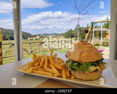 Delicious rustik Hamburguer in a natural place Stock Photo