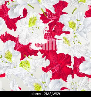 Seamless texture  rhododendrons  red and white  flowers Mountain shrub cracks vintage  vector  illustration editable hand draw Stock Vector