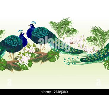 Border  seamless background peacock beauty exotic bird  and tropical flowers watercolor vintage vector illustration editable hand drawn Stock Vector