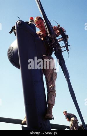 AIRMAN 1ST Class Chris Cook, a MH-60 Crew CHIEF, 55th Special Operations Squadron, Hurlbert Field, Florida, inspects the rear rotor blades of his aircraft during Bright Star 94. Subject Operation/Series: BRIGHT STAR 94 Base: Cairo West Air Base State: Al Qahirah Country: Egypt (EGY) Stock Photo