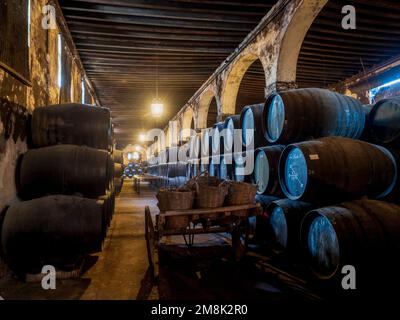 Wooden barrels in the Puerto de Santa Maria wine cellar. Stock Photo