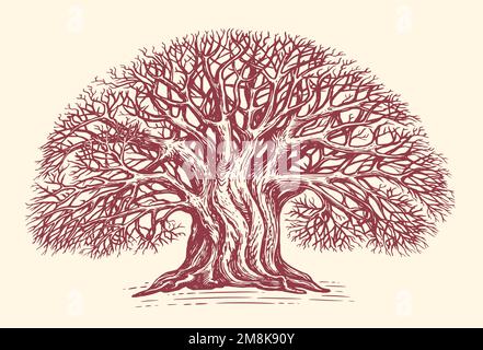 Deciduous branched tree without leaves, hand drawn in vintage engraving style. Big oak sketch. Vector illustration Stock Vector