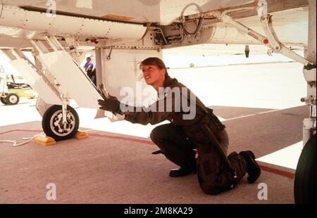 US Air Force CAPT. Karen Brown, a T-38 Talon Instructor Pilot with the 87th Flying Training Squadron, Laughlin Air Force Base, Del Rio, Texas, performs a preflight check of the aircraft prior to take off for another mission during the annual air defense exercise. Subject Operation/Series: ROVING SANDS '95 Base: Roswell State: New Mexico (NM) Country: United States Of America (USA) Stock Photo