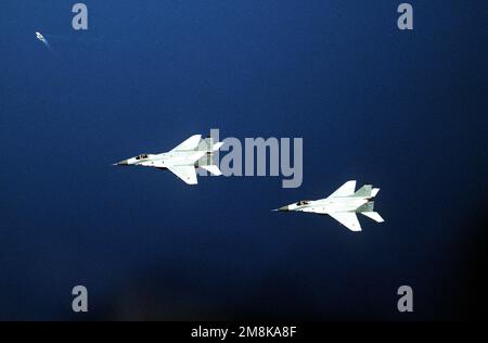 Two German MiG 29 aircraft, NATO code-named Fulcrum, fly in formation for a training exercise.(Exact date unknown). Subject Operation/Series: DENY FLIGHT Base: Decimomannu State: Sardinia Country: Italy (ITA) Stock Photo