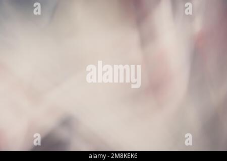 Pink with gray abstract banner background, with soft blur and gradient. Backdrop Stock Photo