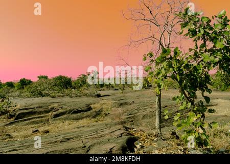 Scenic beauty of Bhojpur Lord Shiva Temple in Bhojpur  Madhya Pradesh Stock Photo