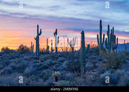 Wide Ratio Desert Sunrise Landscape In Phoenix AZ Area Stock Photo