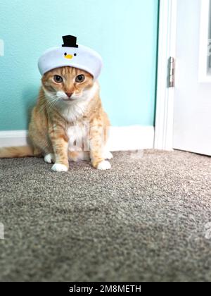 Mika the Orange Tabby in Snowman costume Stock Photo