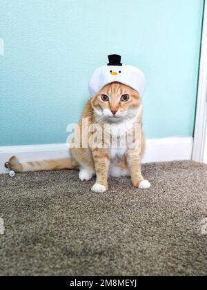 Mika the Orange Tabby in Snowman costume Stock Photo