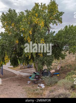 homeless in Albuquerque, New Mexico Stock Photo