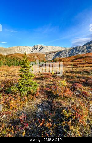 Autumn colours at Stone Mountain Provincial Park in the northern Rocky Mountains of British Columbia Stock Photo