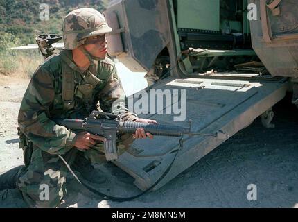 970628-M-2111R-027. [Complete] Scene Caption: A soldier, armed with 5.56mm Colt M16A2 Assault Rifle, from the 3d Infantry Battalion, 160th Regiment, US Army National Guard, sets up a hasty defense after disembarking from a Bradley fighting vehicle during Military Operations in Urban Terrain (MOUT) operations, Exercise KERNEL BLITZ '97. KERNEL BLITZ is a bi-annual Commander-in-CHIEF Pacific (CINCPAC) fleet training exercise (FLEETEX) focused on operational/tactical training of Commander, Third Fleet (C3F)/ I Marine Expeditionary Forces (MEF) and Commander, Amphibious Group 3 (CPG-3)/ 1ST Marine Stock Photo