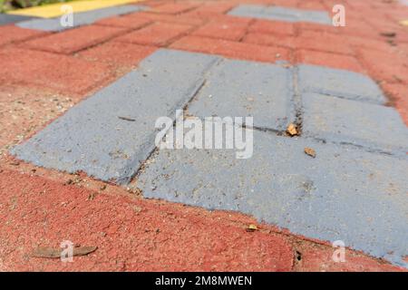 Orange colored paving block bricks path in the park close up Stock Photo