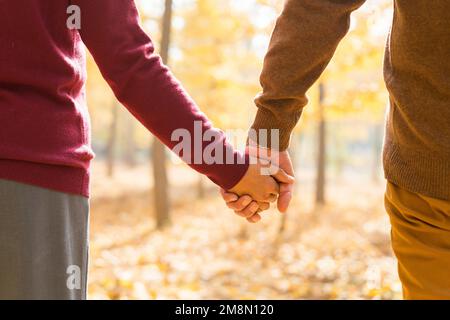 The elderly couple walking in the ginkgo forest Stock Photo