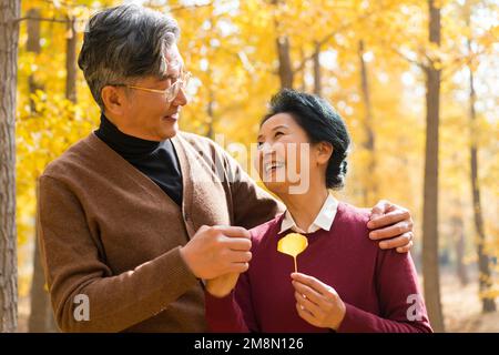 The elderly couple walking in the ginkgo forest Stock Photo