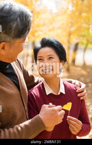 The elderly couple walking in the ginkgo forest Stock Photo