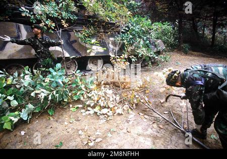 A Republic of Korea Army (ROKA) soldier uses tree limbs to camouflage his K-1 tank at the Twin Bridges training area on Oct. 31, 1998. Twin Bridges, located 25 minutes west of Tongduch'on, Republic of Korea, is the site for a simulated battle on Nov. 2 1998 between a ROKA armored brigade and the 3rd Brigade, 2d Infantry Division from Fort Lewis, Washington, during the combined exercise Foal Eagle '98. Subject Operation/Series: FOAL EAGLE '98KOREA CD Base: Tongduchon Country: Republic Of Korea (KOR) Stock Photo