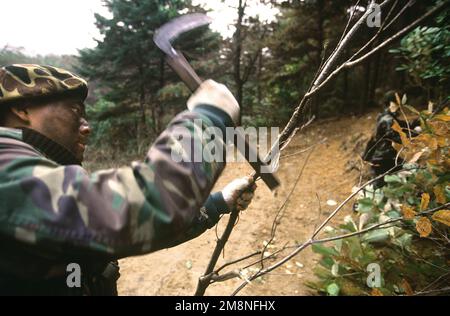 A Republic of Korea Army (ROKA) soldier uses tree limbs to camouflage his K-1 tank at the Twin Bridges training area on Oct. 31, 1998. Twin Bridges, located 25 minutes west of Tongduch'on, Republic of Korea, is the site for a simulated battle on Nov. 2 1998 between a ROKA armored brigade and the 3rd Brigade, 2d Infantry Division from Fort Lewis, Washington, during the combined exercise Foal Eagle '98. Subject Operation/Series: FOAL EAGLE '98KOREA CD Base: Tongduchon Country: Republic Of Korea (KOR) Stock Photo