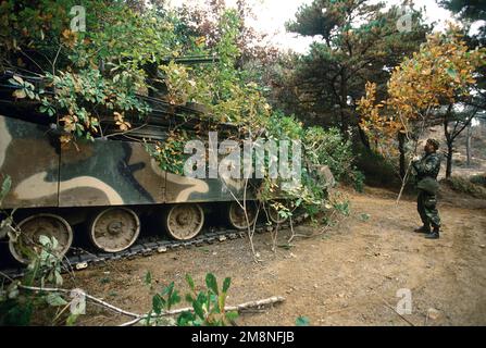 A Republic of Korea Army (ROKA) soldier uses tree limbs to camouflage his K-1 tank at the Twin Bridges training area on Oct. 31, 1998. Twin Bridges, located 25 minutes west of Tongduch'on, Republic of Korea, is the site for a simulated battle on Nov. 2 1998 between a ROKA armored brigade and the 3rd Brigade, 2d Infantry Division from Fort Lewis, Washington, during the combined exercise Foal Eagle '98. Subject Operation/Series: FOAL EAGLE '98KOREA CD Base: Tongduchon Country: Republic Of Korea (KOR) Stock Photo