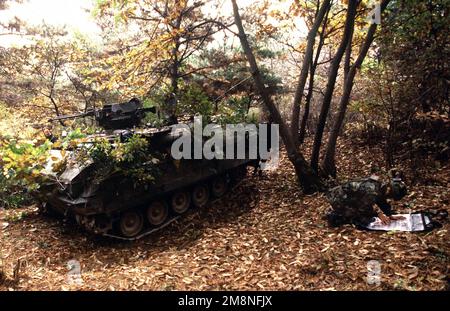 A Republic of Korea Army (ROKA) soldier reviews battle plans near his command vehicle at the Twin Bridges training area on Oct. 31, 1998. Twin Bridges, located 25 minutes west of Tongduch'on, Republic of Korea, is the site for a simulated battle on Nov. 2 1998 between a ROKA armored brigade and the 3rd Brigade, 2d Infantry Division from Fort Lewis, Washington, during the combined exercise Foal Eagle '98. Subject Operation/Series: FOAL EAGLE '98KOREA CD Base: Tongduchon Country: Republic Of Korea (KOR) Stock Photo