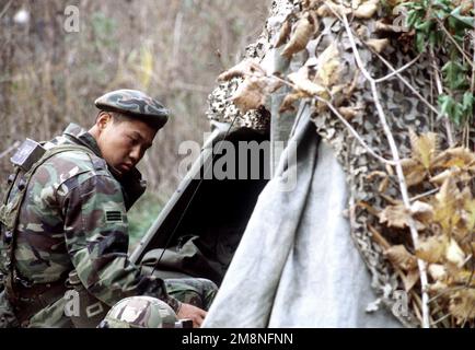 A Republic of Korea Army (ROKA) soldier relaxes in front of his tent at the Twin Bridges training area on Oct. 31, 1998. Twin Bridges, located 25 minutes west of Tongduch'on, Republic of Korea, is the site for a simulated battle on Nov. 2 1998 between a ROKA armored brigade and the 3rd Brigade, 2d Infantry Division from Fort Lewis, Washington, during the combined exercise Foal Eagle '98. Subject Operation/Series: FOAL EAGLE '98KOREA CD Base: Tongduchon Country: Republic Of Korea (KOR) Stock Photo