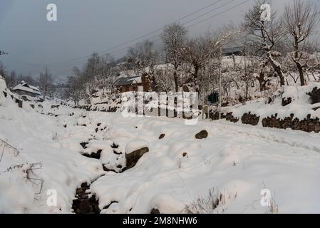 Srinagar, India. 15th Jan, 2023. A view of snow covered roads, trees and houses after a heavy snowfall in the outskirts of Srinagar. Due to heavy snowfall, there has been multiple avalanche in different places of Kashmir. The period of 40 days from December 21 to January 31st, also known as Chilai Kalan, in Kashmir is considered as the most crucial when if it snows the condition gets even worse. Credit: SOPA Images Limited/Alamy Live News Stock Photo