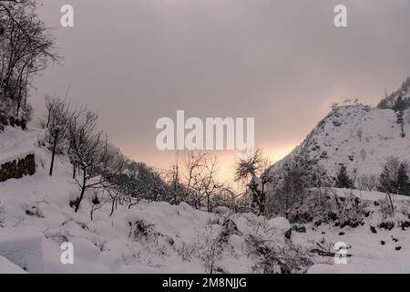 Srinagar, India. 15th Jan, 2023. A view of snow covered road and trees during sunset after heavy snowfall in the outskirts of Srinagar. Due to heavy snowfall, there has been multiple avalanche in different places of Kashmir. The period of 40 days from December 21 to January 31st, also known as Chilai Kalan, in Kashmir is considered as the most crucial when if it snows the condition gets even worse. (Photo by Idrees Abbas/SOPA Images/Sipa USA) Credit: Sipa USA/Alamy Live News Stock Photo