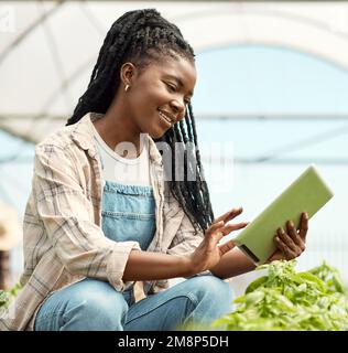 happy farmer using a wireless digital device. Young farmer checking her plants with a tablet. African american farmer checking plant growth. Farm Stock Photo