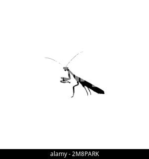 Mantis icon. Simple style insect science poster background symbol. Mantis brand logo design element. Mantis t-shirt printing. vector for sticker. Stock Vector