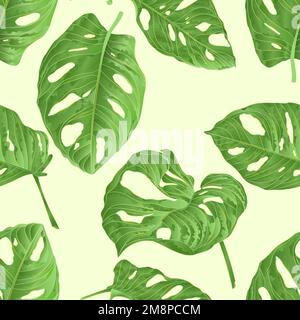 Seamless texture tropical plant sheet of Monstera deliciosa    natural silhouette and contour isolated on a white background watercolor botanical back Stock Vector